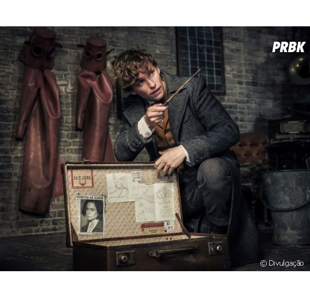 Animais Fantasticos O Que Tem Haver Com Harry Potter Animais Fantasticos 3 Gravado No Brasil J K Rowling Da Pista