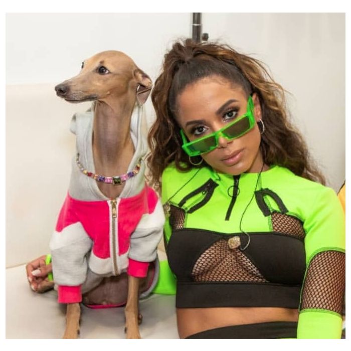 Plínio tá famoso! Cachorro de Anitta leva prêmio no MTV Miaw 2019