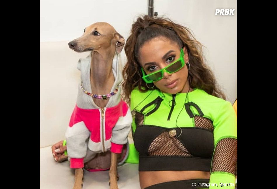 Plinio Ta Famoso Cachorro De Anitta Leva Premio No Mtv Miaw 2019 Purebreak