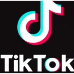 Se você ainda não entrou no TikTok, vai mudar de ideia depois de ver esses vídeos incríveis