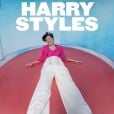 Veja todas as informações dos shows de Harry Styles no Brasil