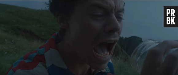 Harry Styles se apresentará no Brasil em 2020