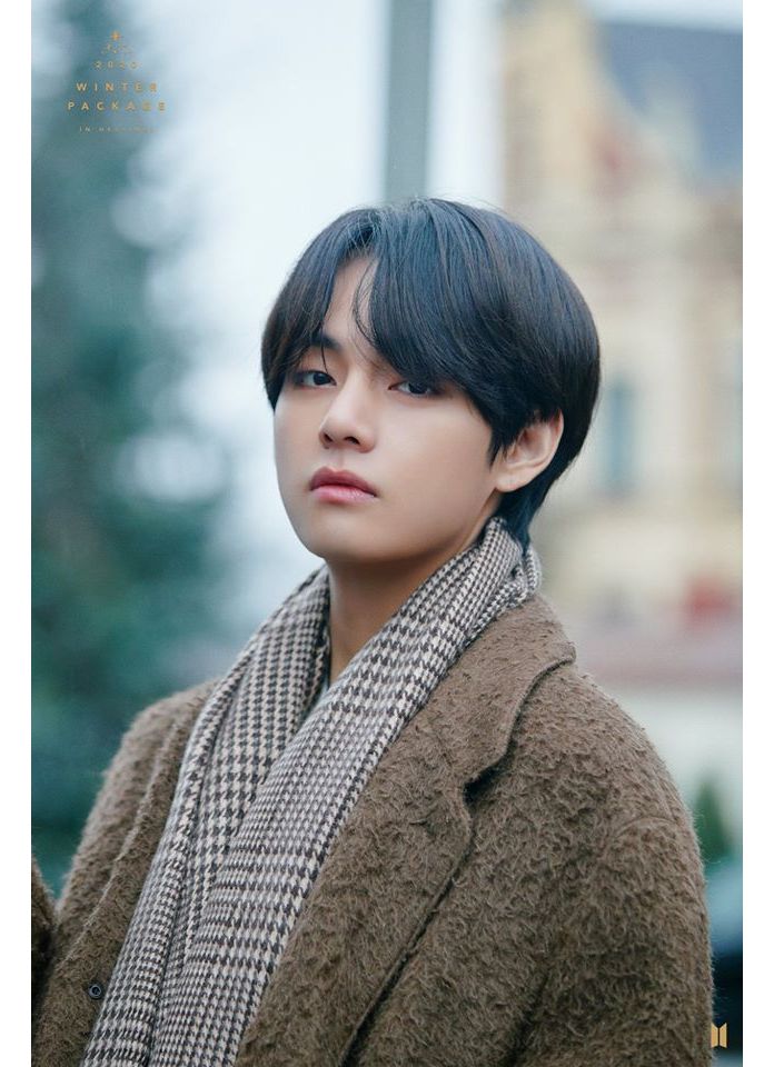 Bts Qual Personalidade Do Kim Taehyung O V Mais Combina Com Voce Faca Este Teste E Descubra Purebreak