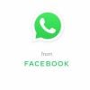 Coronavírus: nova ferramenta do WhatsApp permite checar informações de mensagens encaminhadas



