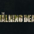 AMC anuncia fim "The Walking Dead"