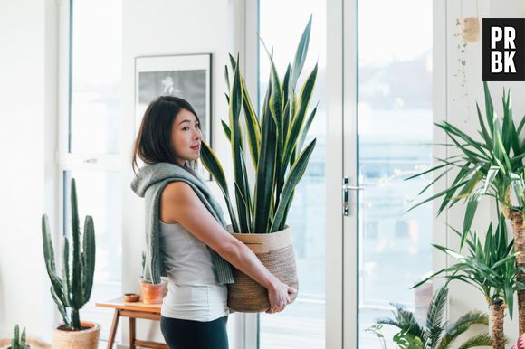 Você está pronte pra morar sozinhe? Faça o quiz e descubra!