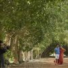 "É o Amor", é documentário da Netflix sobre a família de Zezé di Camargo e Wanessa