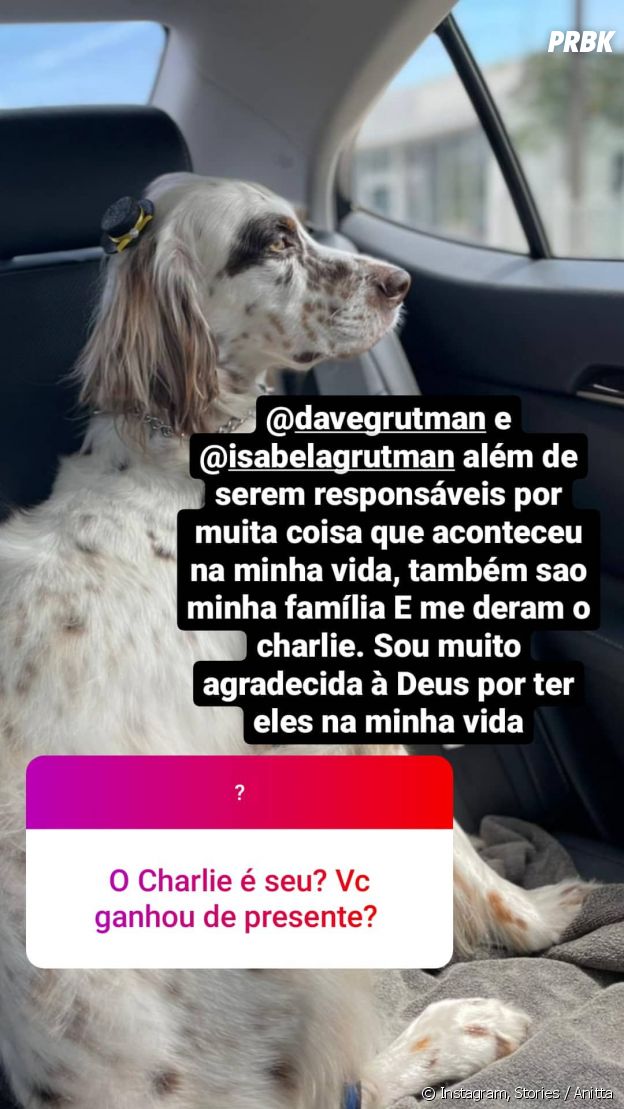 Anitta ganha companhia de novo pet, o Charlie, em Miami