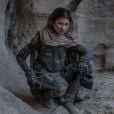 A vencedora do Emmy, Zendaya, irá interpretar Chani, uma integrante da tribo dos Fremen, nativa do planeta Arrakis