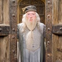 Dumbledore, Minerva ou Snape? Descubra qual professor de "Harry Potter" você é