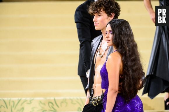 Shawn Mendes lança música sobre término de namoro com Camila Cabello