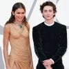 De Zendaya a Timothée Chalamet: famosos que já foram Youtubers 