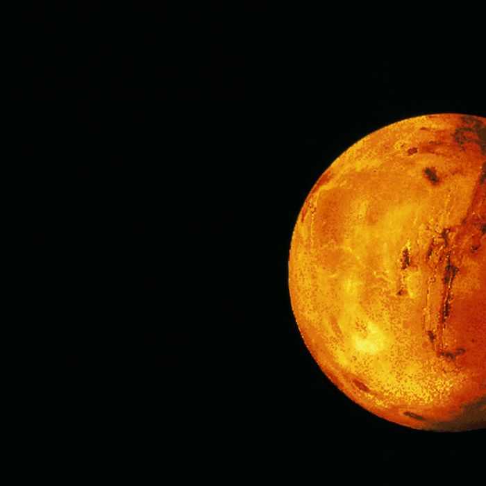 Em 2023, a Lua será o nosso satélite natural que irá reger o novo ciclo, trazendo sentimentos e sensações à flor da pele