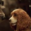 "A Dama e o Vagabundo" apresenta uma cocker spaniel americana de classe média alta, chamada Lady (Tessa Thompson) que conhece um Schnauzer vira-lata do centro da cidade chamado Vagabundo (Justin Theroux)