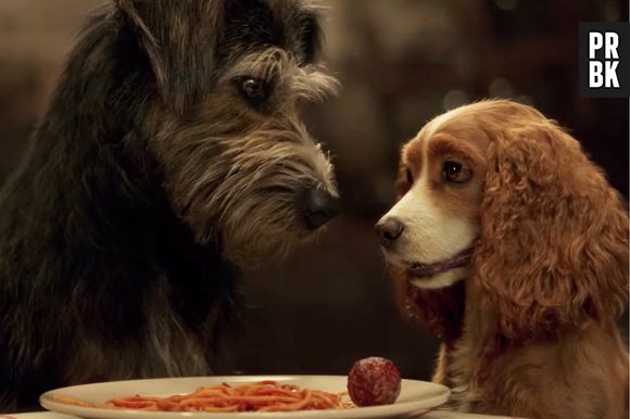 "A Dama e o Vagabundo" apresenta uma cocker spaniel americana de classe média alta, chamada Lady (Tessa Thompson) que conhece um Schnauzer vira-lata do centro da cidade chamado Vagabundo (Justin Theroux)