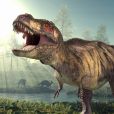 Achávamos que os Tiranossauro Rex eram enormes. Agora, temos razões para acreditar que eram 70% maiores