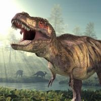 Cientistas encontram pistas sobre mistério dos braços curtos do  Tiranossauro rex, Ciência