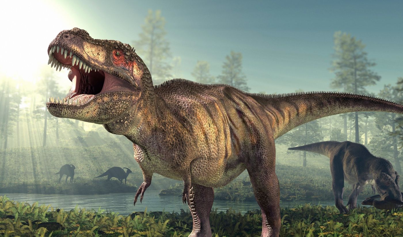 Tiranossauro Rex encontrado no Canadá em 1991 é o maior do mundo, Natureza