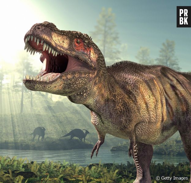 Achávamos que os Tiranossauro Rex eram enormes. Agora, temos razões para acreditar que eram 70% maiores