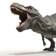 Achávamos que os Tiranossauro Rex eram enormes, parece que eram ainda maiores