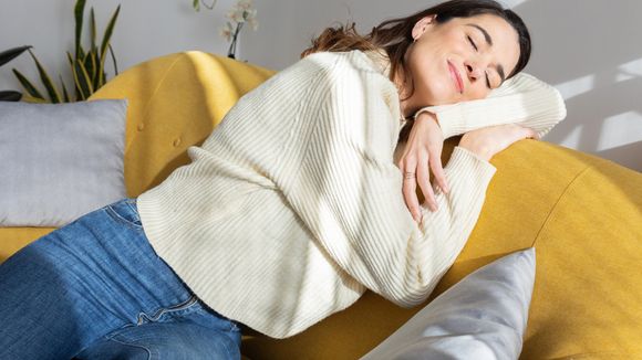 É um péssimo sinal sonhar com esse animal. Saiba os motivos!