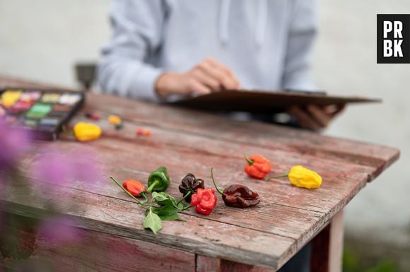 Um estudo publicado pelo Picky Eater mostra que, a partir de uma análise das hashtags do Instagram para escolher quais os tipos de culinárias são as mais populares, a comida italiana ganhou o primeiro lugar global