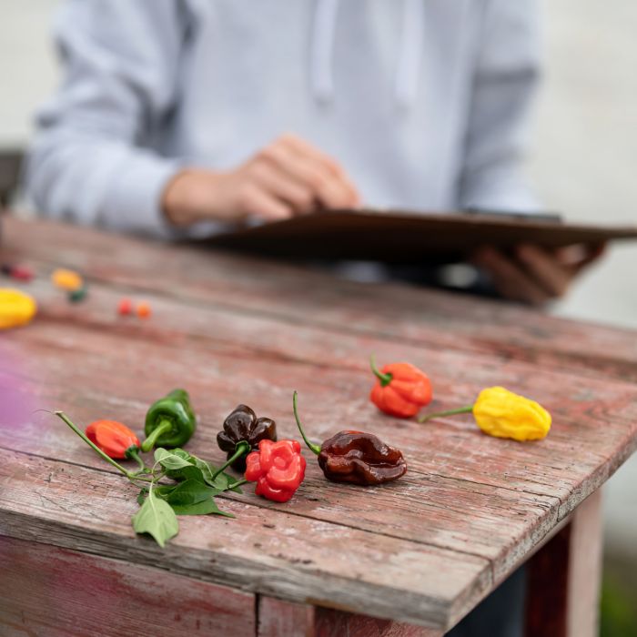  Um estudo publicado pelo   Picky Eater   mostra que, a partir de uma análise das hashtags do Instagram para escolher quais os tipos de culinárias são as mais populares, a comida italiana ganhou o primeiro lugar global 