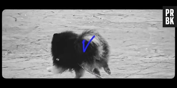 Yeontan aparece de surpresa no clipe de "Blue", do Taehyung (V do BTS)