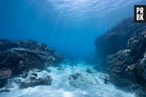 O fundo do mar é muito mais difícil de ser explorado