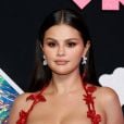 Selena Gomez já deu uma pausa em sua carreira algumas vezes por causa do lúpus