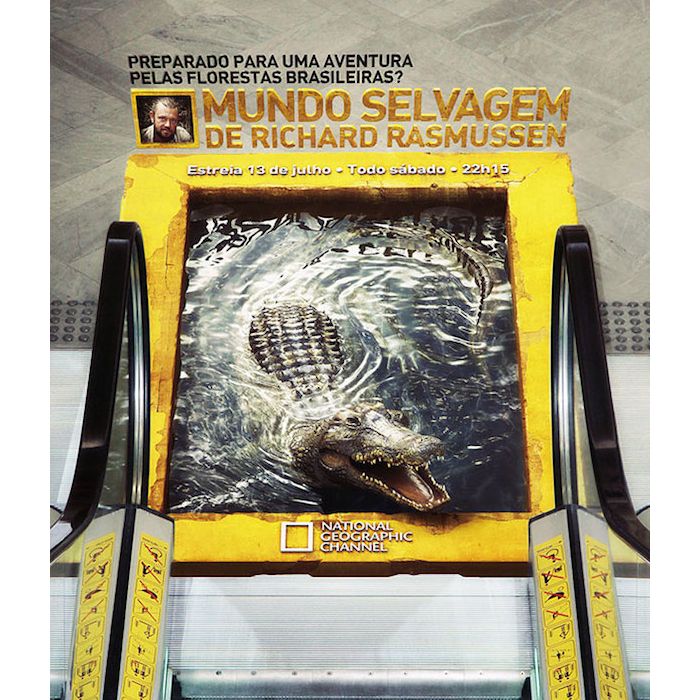  O National Geographic mandou bem nessa propaganda, sim ou claro? 
