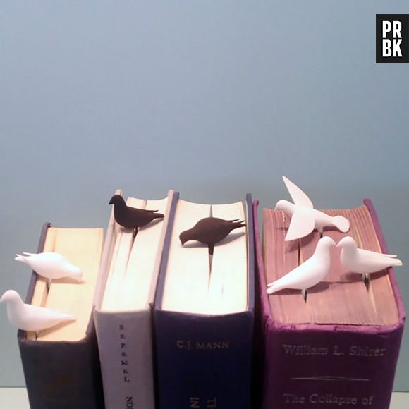 Serão passáros devorando livros ou marcadores criativos?