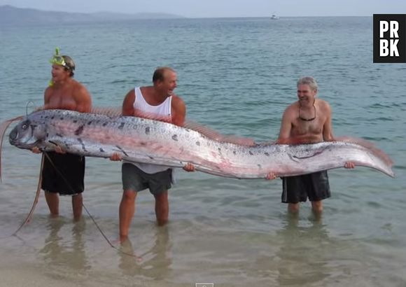 Imagina está de boa na praia e topar com o oarfish? Deus me livre!