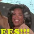  Em "Beesbeesbees", a apresentadora Oprah Winfrey solta as abelhas na plateia... e fica nisso! 