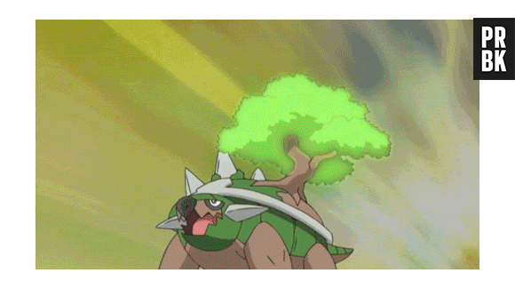 A árvore nas costas do Torterra pode alimentar na hora que a forme aperta