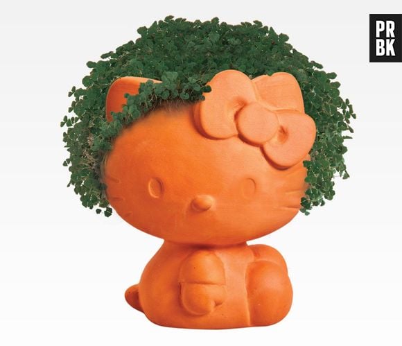 Que tal ter uma planta de estimação e tirar onda por aí como protetor da natureza?