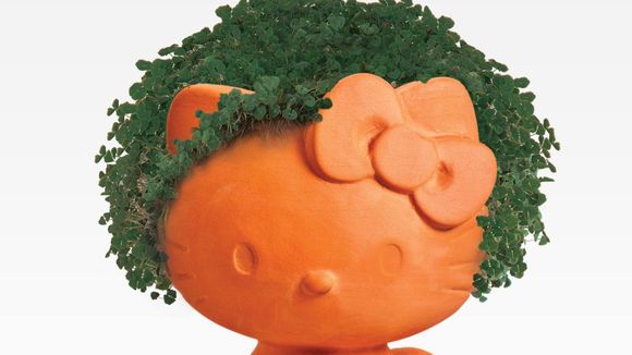 Planta de estimação? 10 imagens para comprovar que ter uma é tão legal quanto um animal!