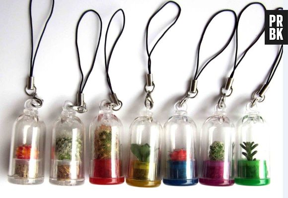 Quem disse que não dá pra levar uma plantinha de estimação para passear?