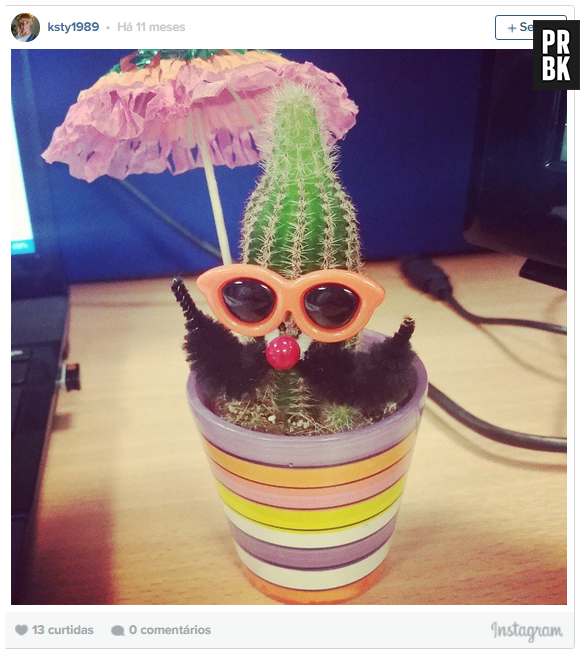 Sabia que também dá pra colcoar várias roupinhas super legais na sua planta?