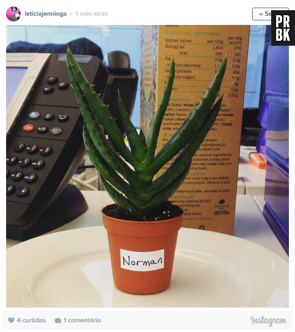 Você também pode escolher um nome super legal para a sua planta de estimação!