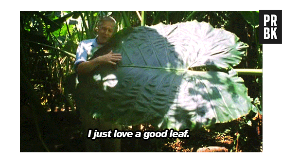 Planta de estimação? 10 imagens para comprovar que ter um vegetal é tão legal quanto um animal!