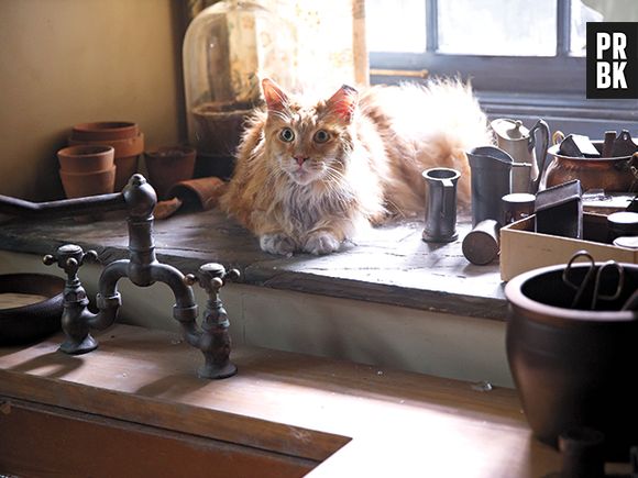 "Jogos Vorazes: A Esperança - O Final" tem direção de Francis Lawrence