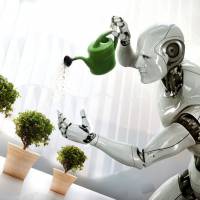 Robôs na agricultura? O futuro será de droids que controlam plantações