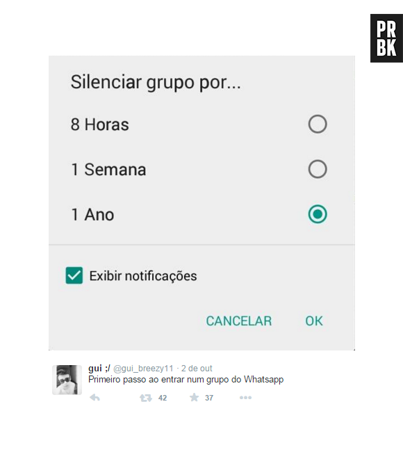 Não param de falar naquele grupo chato do Whatsapp? Resolva esse problema agora