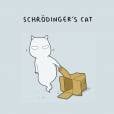 O seu gato é o de Schrödinger? Aquele do "vivomorto"? Sinistro...