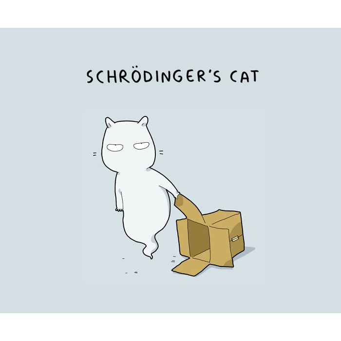 O seu gato é o de Schrödinger? Aquele do &quot;vivomorto&quot;? Sinistro...