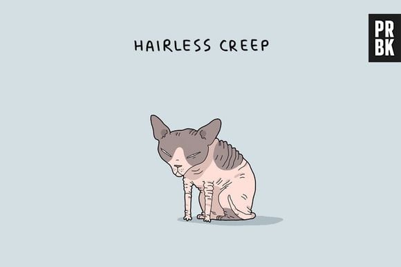 Alguns gatinhos são feios, mas mesmo assim os donos amam