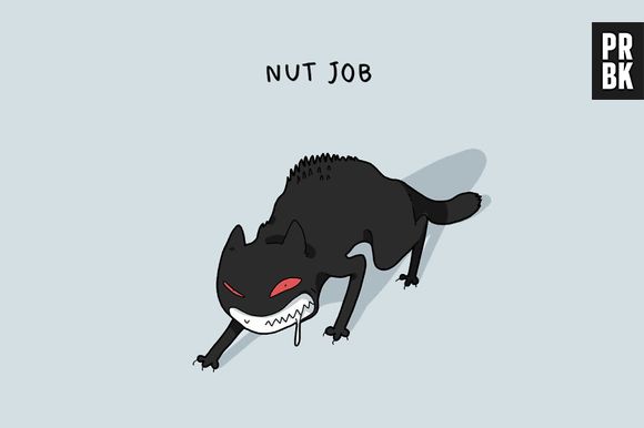 E aqueles gatos que são super loucos?