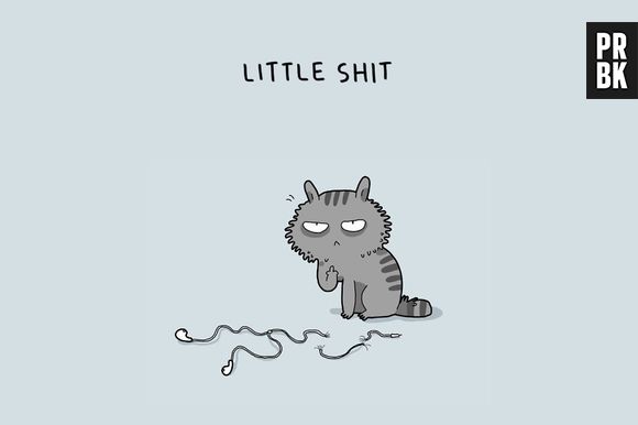 Pior são aqueles gatos que não gostam de nenhuma brincadeira