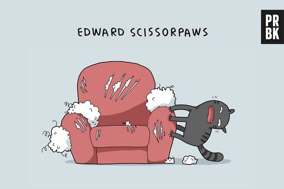 Seu gato é do tipo que não pode ver um sofá que já sai rasgando tudo, né?